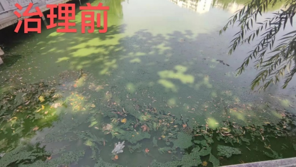 图片5.png 图片5.png